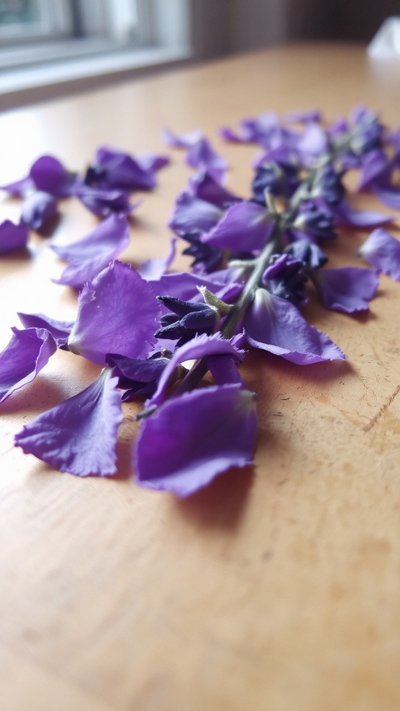 lavender infused honeycomb ice cream