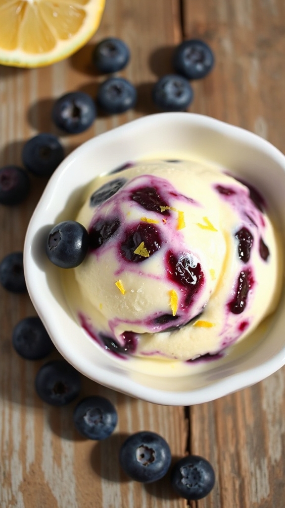lemon blueberry frozen yogurt